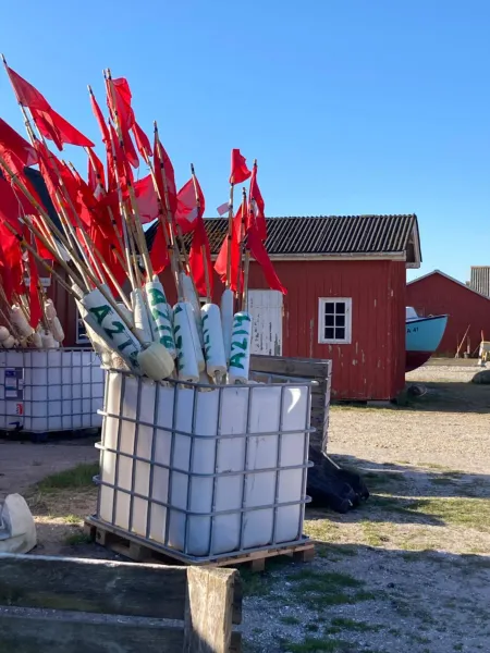 Billede 10 af Det blågrønne Hus