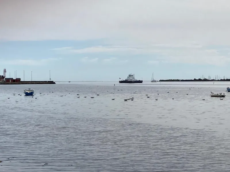 Billede 28 af Det blågrønne Hus