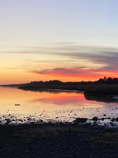 Billede 31 af Det blågrønne Hus
