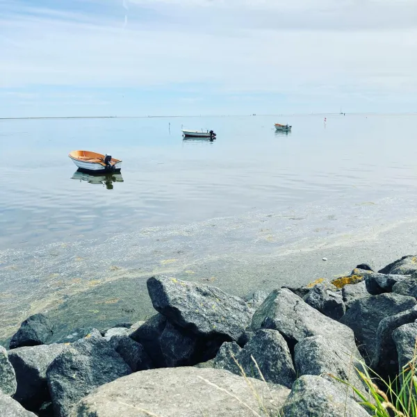 Billede 74 af Det blågrønne Hus