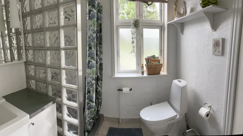 Billede 87 af Det blågrønne Hus