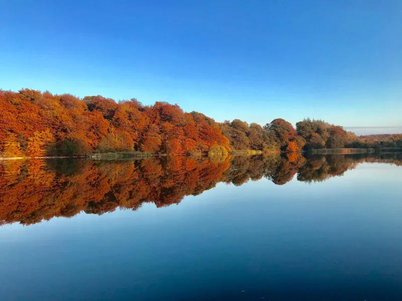 Skjoldenæsholm Slot photo 40