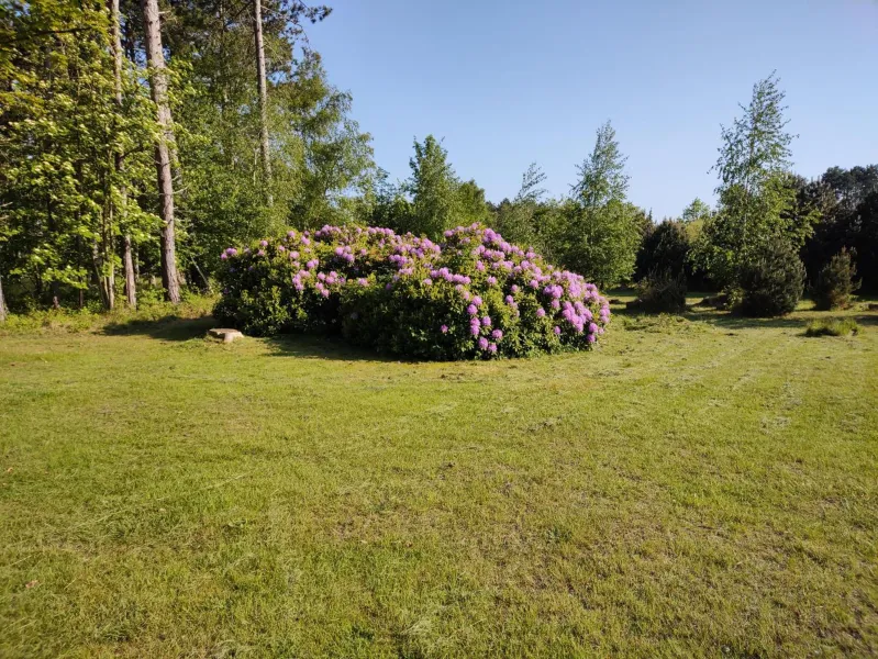 Billede 20 af Nice Home In Rødby With Internet, Jacuzzi And Sauna
