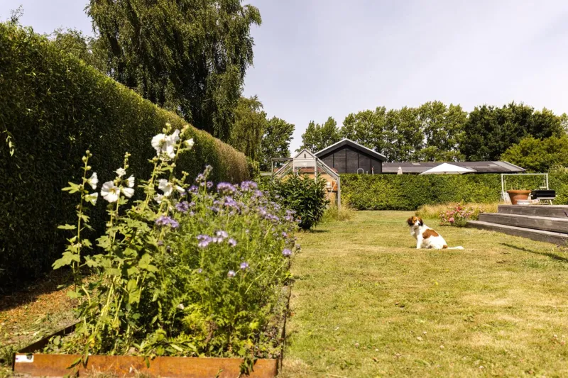 Billede 46 af Modern and cozy cabin near Copenhagen city and airport