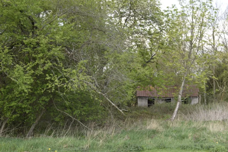 Fredensholm Annex photo 29