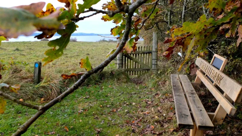 Hvalpsund Færgekro photo 10