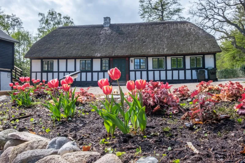 Awesome Home In Ebeltoft With 3 Bedrooms And Internet