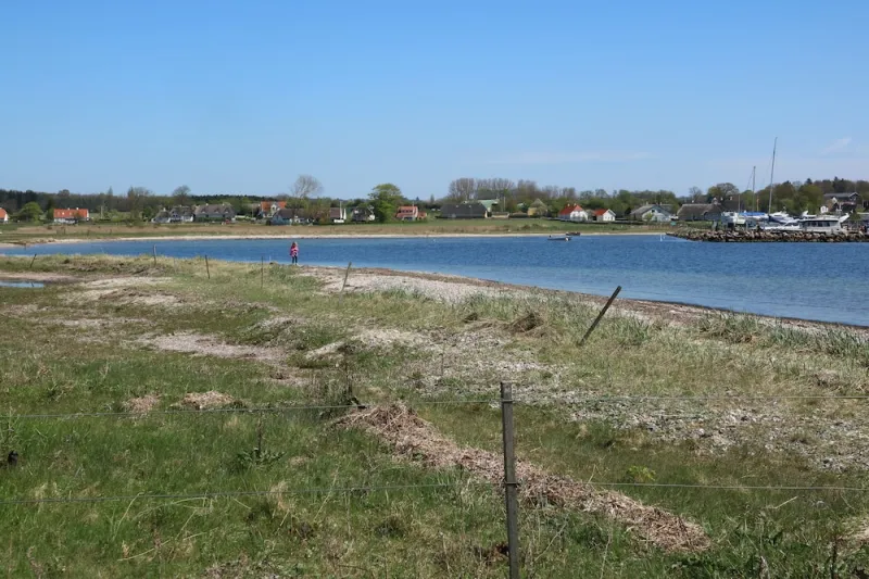 Billede 2 af Birkelygaard Bed & Breakfast