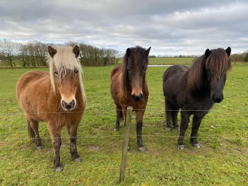 Nyopført luksusværelse i naturskønne og rolige omgivelser photo 2