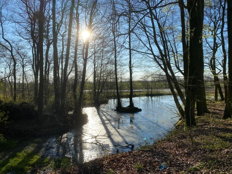 Nyopført luksusværelse i naturskønne og rolige omgivelser photo 21