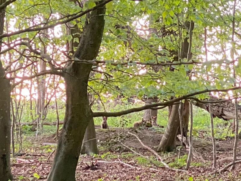 Nyopført luksusværelse i naturskønne og rolige omgivelser photo 25