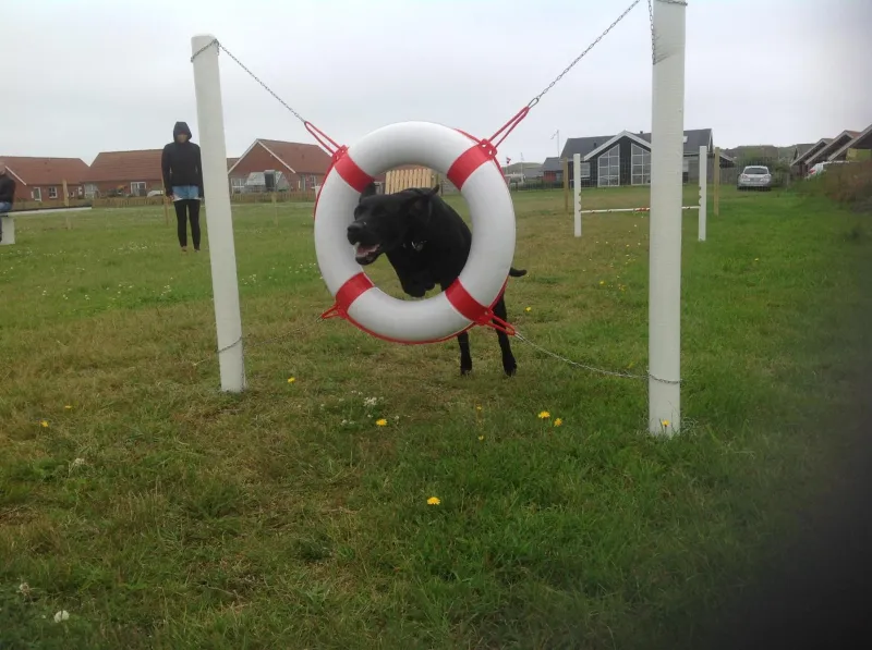 Thorsminde Camping & Cottages photo 52