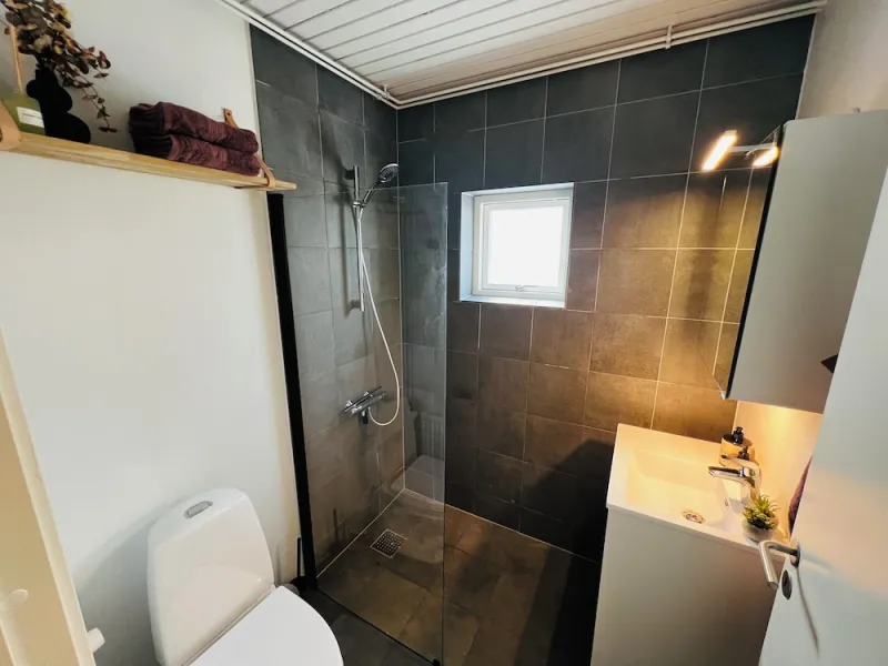 Billede 8 af Cozy Flats Silkeborg - 1TH