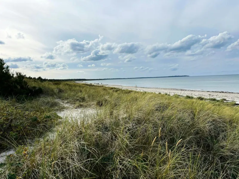 Billede 8 af Summerhouse Close To Nature And Beach