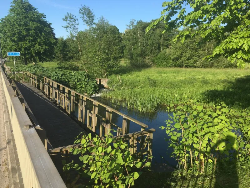 Brobyværk Kro photo 28