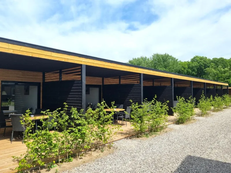 Randers City Camp
