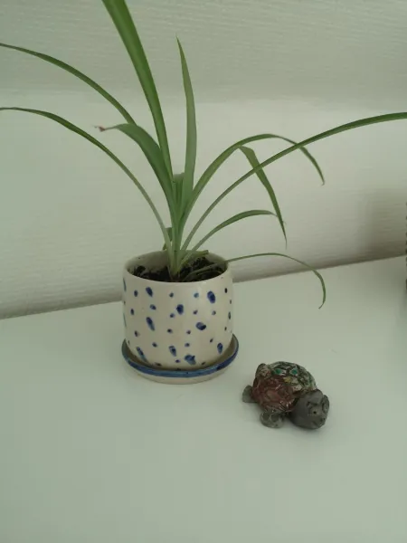 Billede 10 af Keramikhuset 2 komma 0, smuk natur og hjemlig hygge