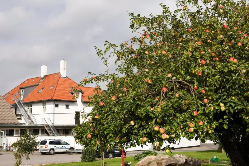 Hotel Troense photo 4