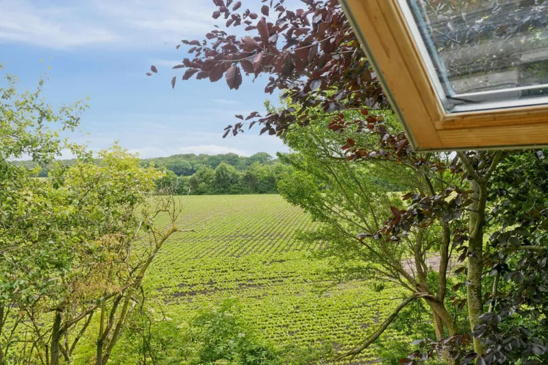 Billede 25 af Unique Private Idyll