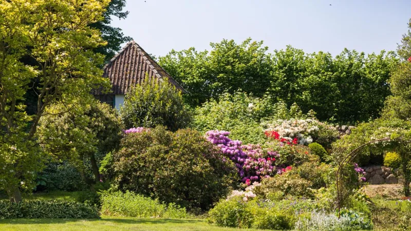 Billede 6 af Sjælegård Countryside Lodge
