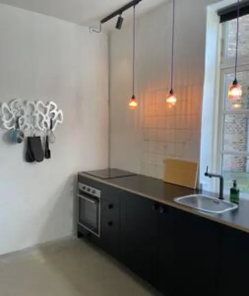 Billede 4 af Unique Industrial Apartment