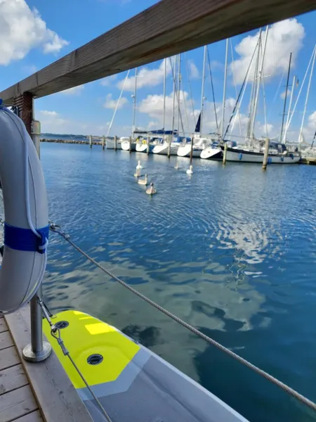 Billede 21 af Hausboot Hecht