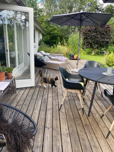 Højvangen photo 6