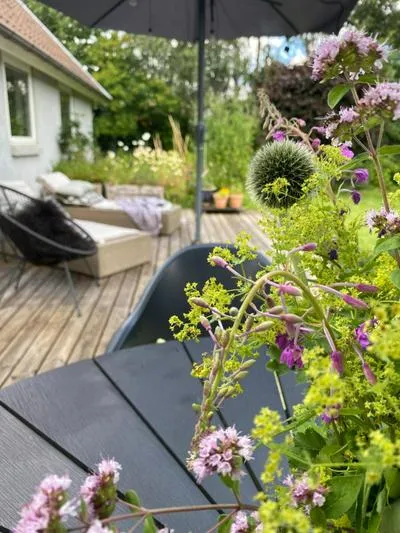 Højvangen photo 19