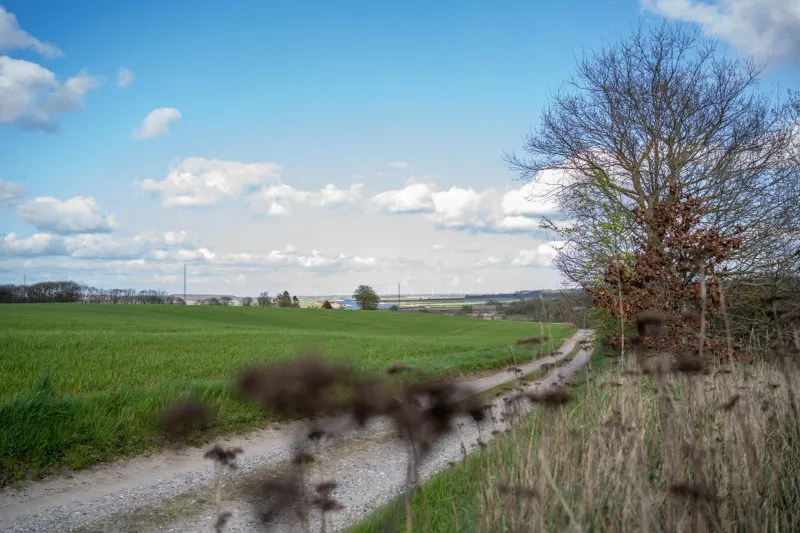 Billede 8 af Bjerrebo idyl - Romalt Bakker
