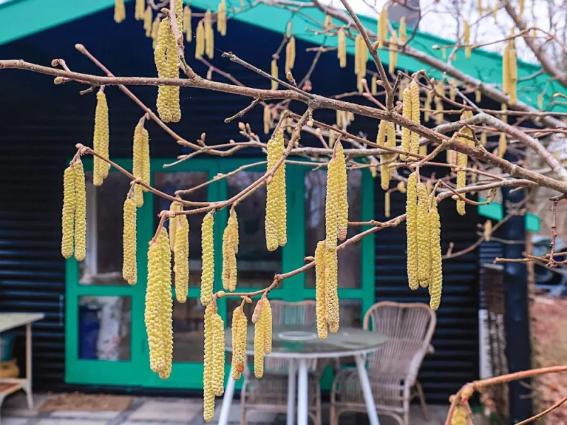 Billede 22 af Cozy Haven in Rorvig - By Traum Ferienwohnungen
