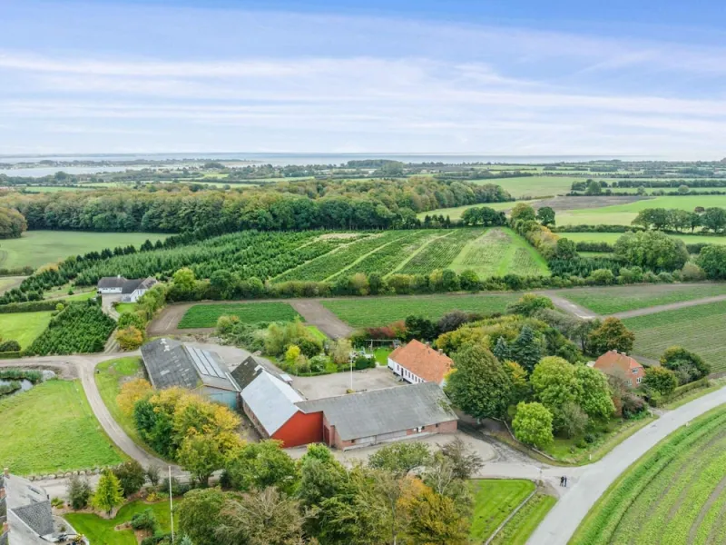 Billede 49 af 5 Star Holiday Home in Haderslev