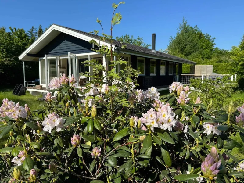 Billede 12 af 5 Star Holiday Home in Graested