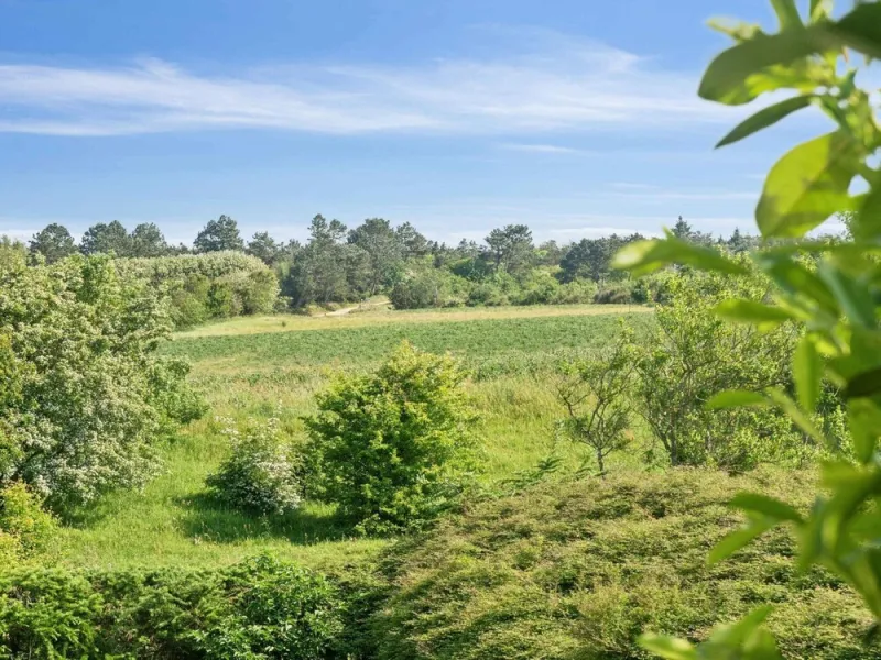 Billede 21 af 5 Star Holiday Home in Farso