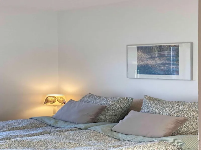Billede 12 af 5 Star Holiday Home in Hjorring