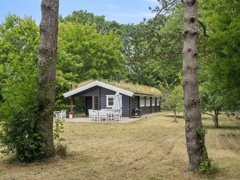 4 Star Holiday Home in Dronningmolle