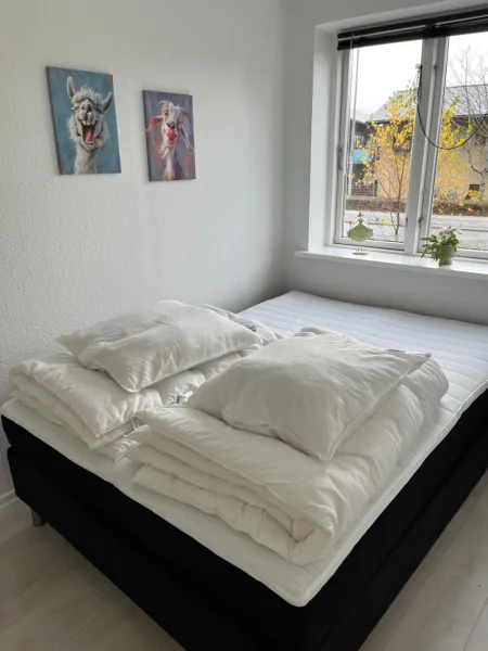 Billede 45 af Casa Home of Bricks 4 - Sleep next to LEGO HOUSE