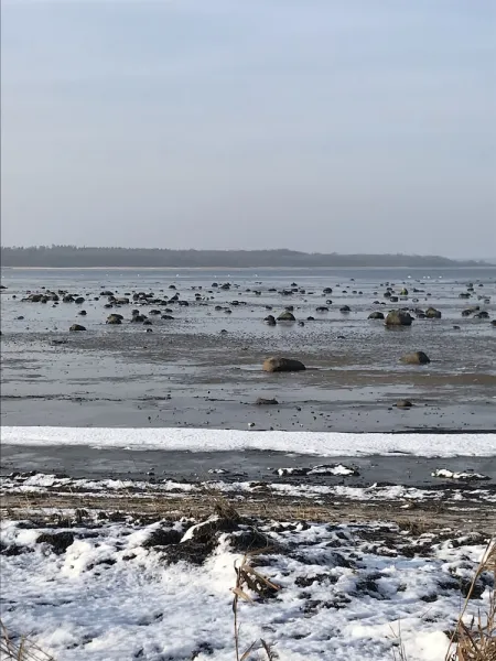Billede 29 af Strandsegård Ferielejligheder