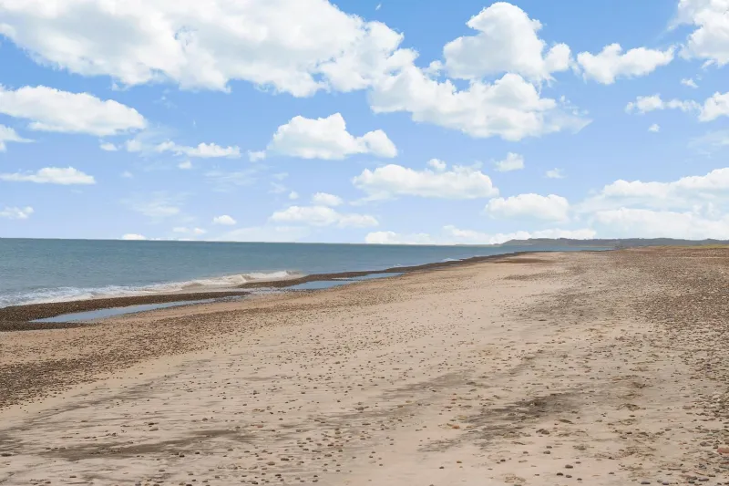Billede 7 af First Camp Klim Strand - Nordvestkysten