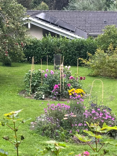 Billede 9 af Dejligt Tinyhouse i Gilleleje