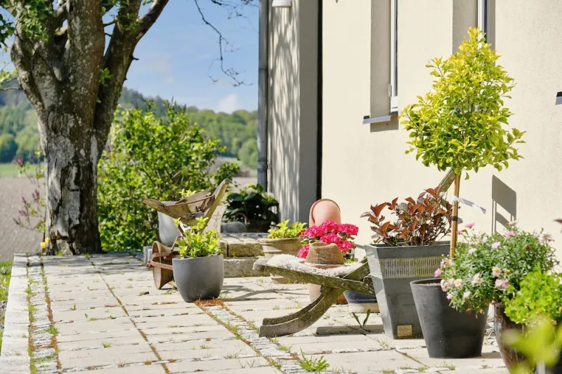Billede 16 af Basballegaard Bed & Breakfast
