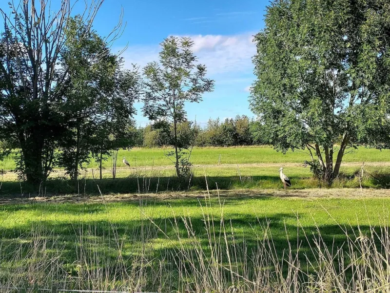 Billede 3 af 4 Star Holiday Home in Tonder