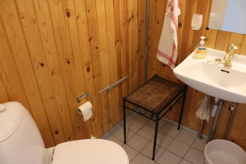 Billede 8 af Sir Gamle Skole Holstebro