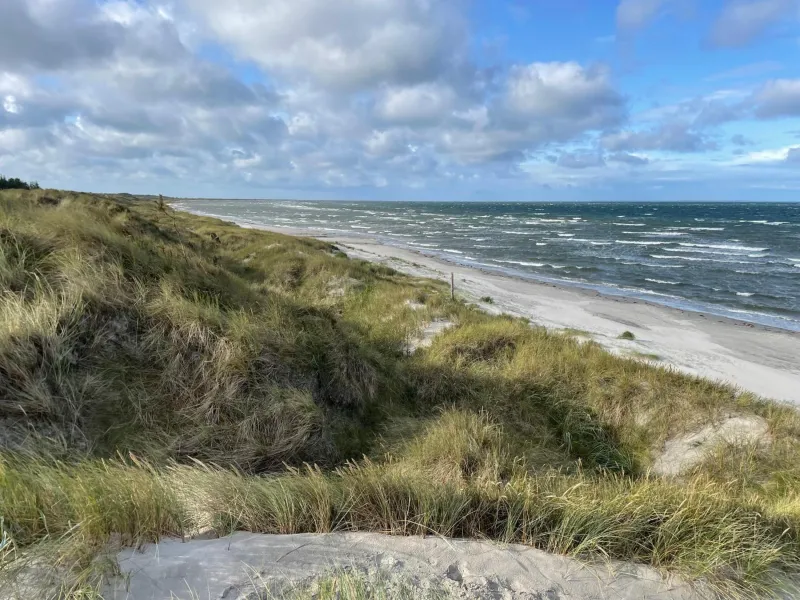 Billede 28 af Hotel Strandgaarden