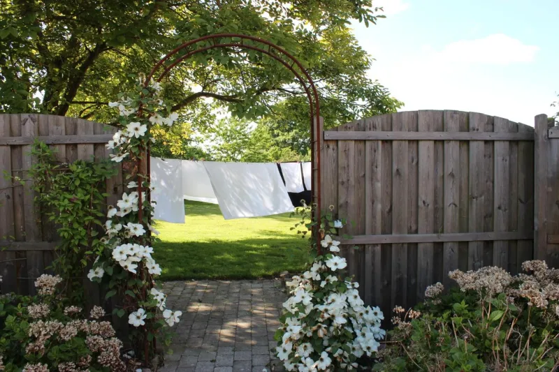 Safine B&B