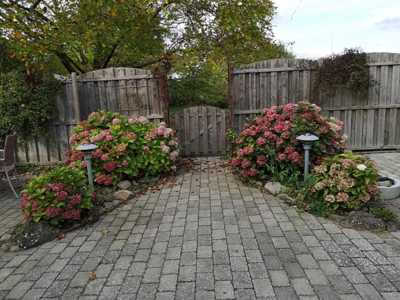 Billede 3 af Safine B&B