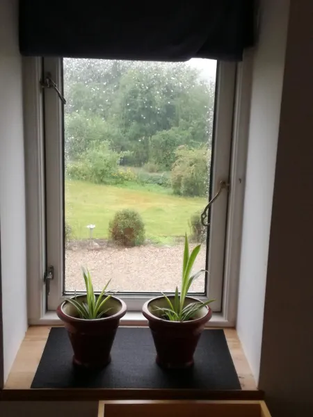 Billede 6 af Safine B&B