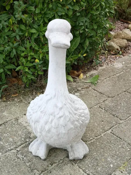 Billede 59 af Safine B&B