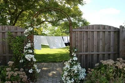 Billede 88 af Safine B&B