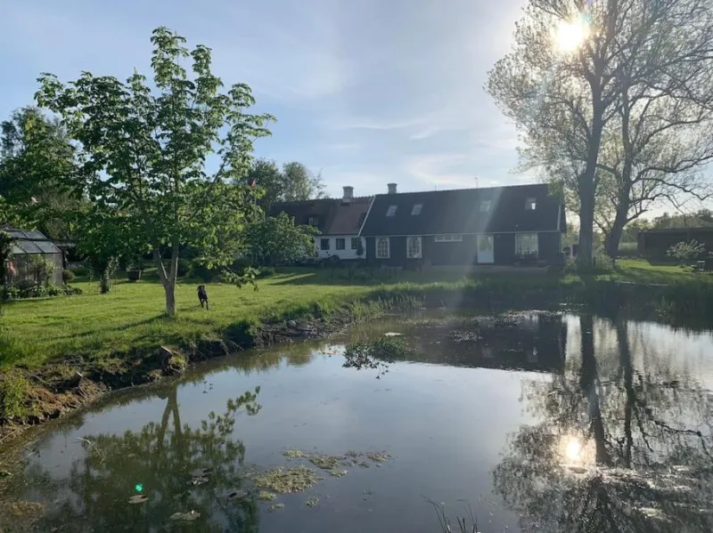Billede 44 af Kongsholmlund - Silent retreat