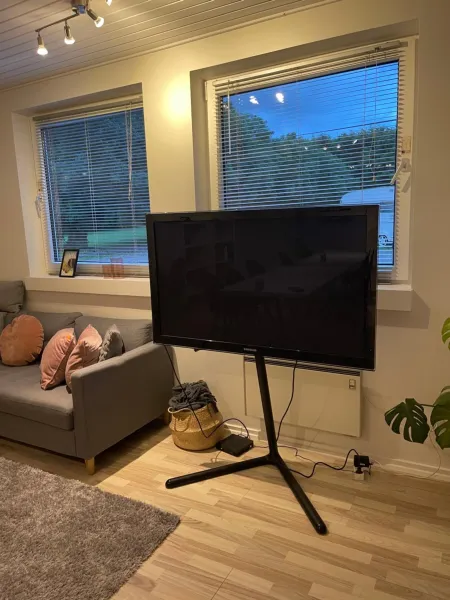 Billede 2 af B&B Saga